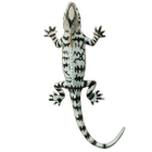 Lizard icône