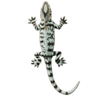 Lizard أيقونة