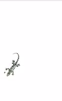 Lizard 截图 2