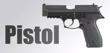 Pistol simulator