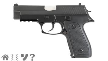 Pistol الملصق
