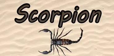 Scorpion simulator