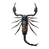 Scorpion ikon