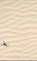 Scorpion पोस्टर