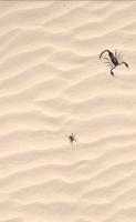 Scorpion स्क्रीनशॉट 1
