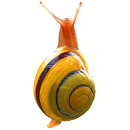 Snail simulator APK