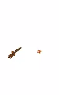Squirrel screenshot 4