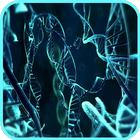 DNA Wallpaper آئیکن