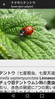 動物図鑑 Ekran Görüntüsü 2