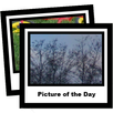 picofday APK