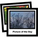 picofday APK
