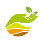Icona Mitti organic