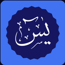 Yasin Tahlil dan Istighozah APK