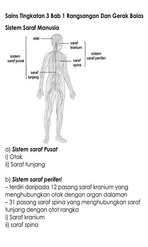Http Noramaniaida Blogspot Com P Sains Tingkatan 3 Html