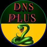 DNS PLUS