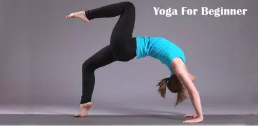 Yoga Daily For Beginners