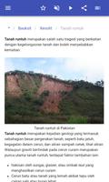 Rocks syot layar 3