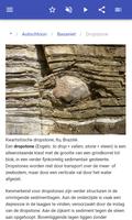 Rocks screenshot 3