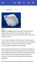 Kayalar Ekran Görüntüsü 2