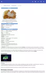 Descargar APK de Minerales