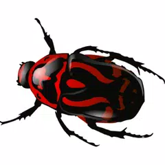 Descargar APK de Escarabajos