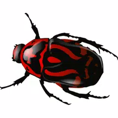 Käfer APK Herunterladen