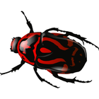 Beetles 圖標