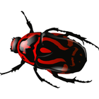 Beetles icon