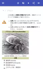 カブトムシ アプリダウンロード