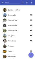 Famous trees bài đăng