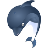”Dolphins