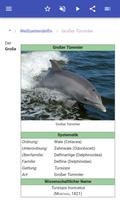 Dolphins Screenshot 2