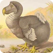 Uitgestorven dieren
