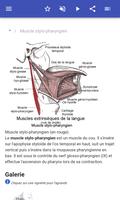 Système musculaire capture d'écran 1