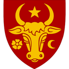 Rulers Principality of Moldavi ikon