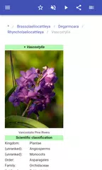 Houseplants APK download