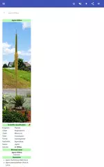 Houseplants APK download