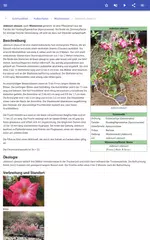 Zimmerpflanzen APK Herunterladen