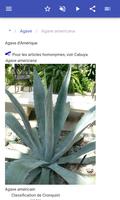 Plantes d'intérieur capture d'écran 2