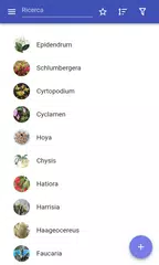 download Piante da appartamento APK