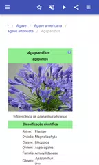 Baixar Houseplants APK