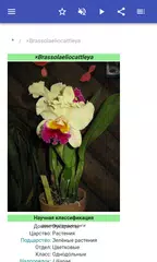 Скачать Комнатные растения APK