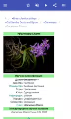 Скачать Комнатные растения APK