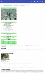 Скачать Комнатные растения APK