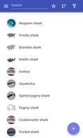 Sharks poster