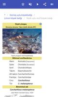 Köpekbalıkları Ekran Görüntüsü 3