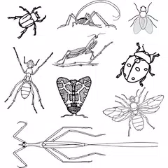 Genera of insect APK download