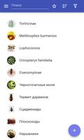 Семейства насекомых постер