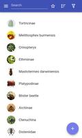 Genera of insect পোস্টার