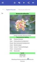 Plantenfamilies screenshot 2